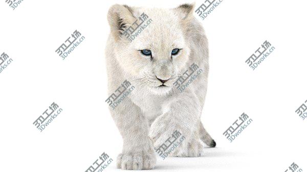 images/goods_img/20210312/3D White Baby Lion Rigged, Fur model/1.jpg